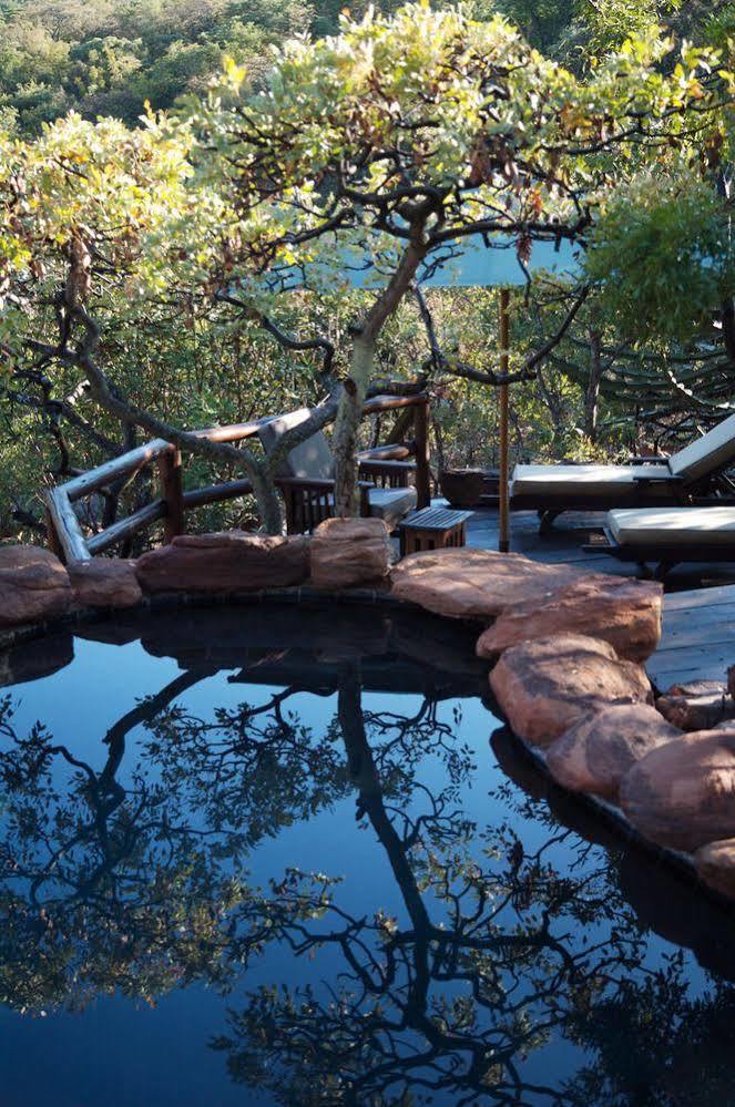 Makweti Safari Welgevonden Game Reserve